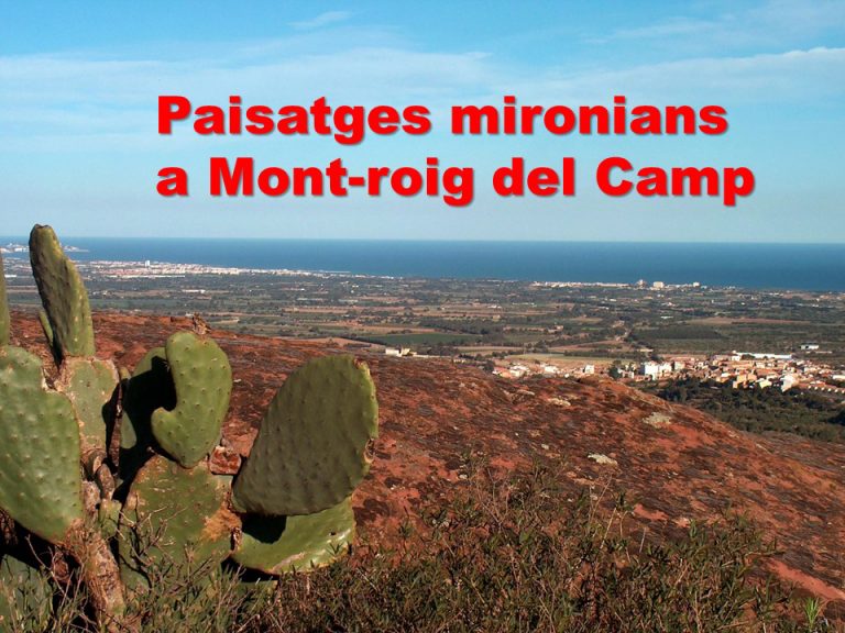 Més informació sobre l'article 69 – TASTETS DE PATRIMONI: MONT-ROIG A TARRAGONA